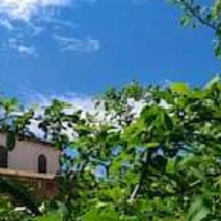 Il Gelsomino Home Holiday Алкамо Екстериор снимка