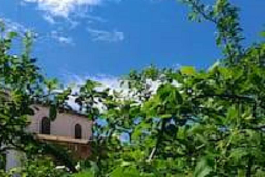 Il Gelsomino Home Holiday Алкамо Екстериор снимка